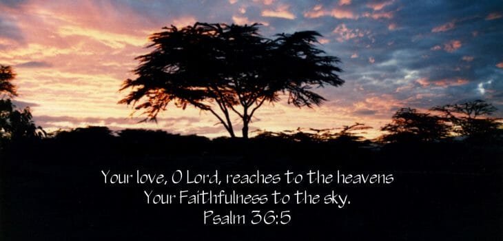 desires of god's heart, what prayer is, jesus, jesus christ, intimacy with god. pursuing intimacy with god, prayer, worship, bible, bible study, bible studies, hear gods voice, gods will, know god, know jesus, relationship with jesus, jesus christ, disciples, discipleship, worship, worship god, worship jesus, true worship, praise, prayer, why pray, the desires of god's heart, god's desires, god's love, god's heart