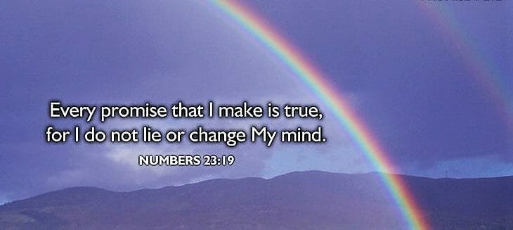 god's promises, god's promises in the bible, god is faithful, god's word is true, god is perfectly faithful, promises, god's word, the bible, truth, what is truth, messiah, prophecy