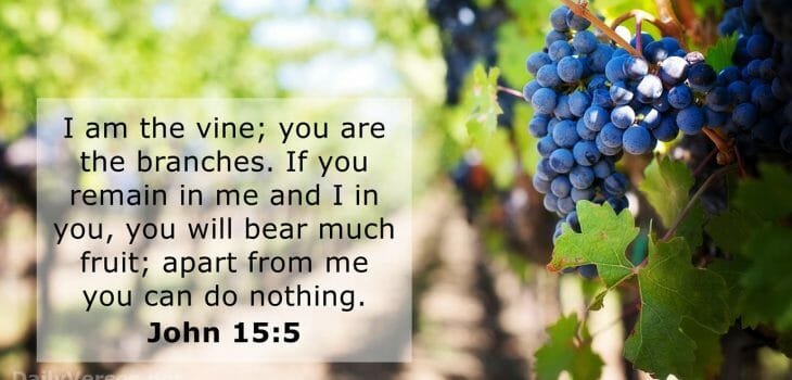 how to be a fruitful & victorious christian, fruitful and victorious, fruitful christian, fruitful victorious christian, john 15 5, jesus is the vine