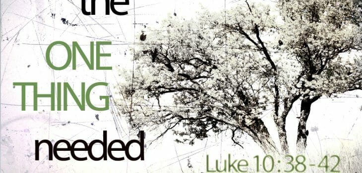 how to be a victorious & fruitful christian, victorious & fruitful christian, victorious, victorious christian, fruitful christian, one thing, luke 10 42