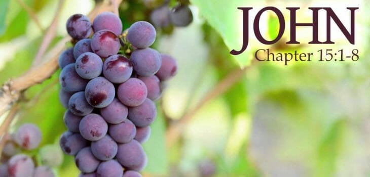 the hand of the lord, all mighty god, power of god, great power of god, john 15 8, john 15