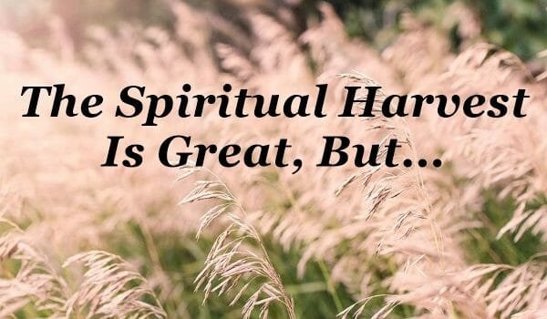 spiritual harvest is great, the harvest is great, the harvest is plentiful, matthew 9 37, evangelism